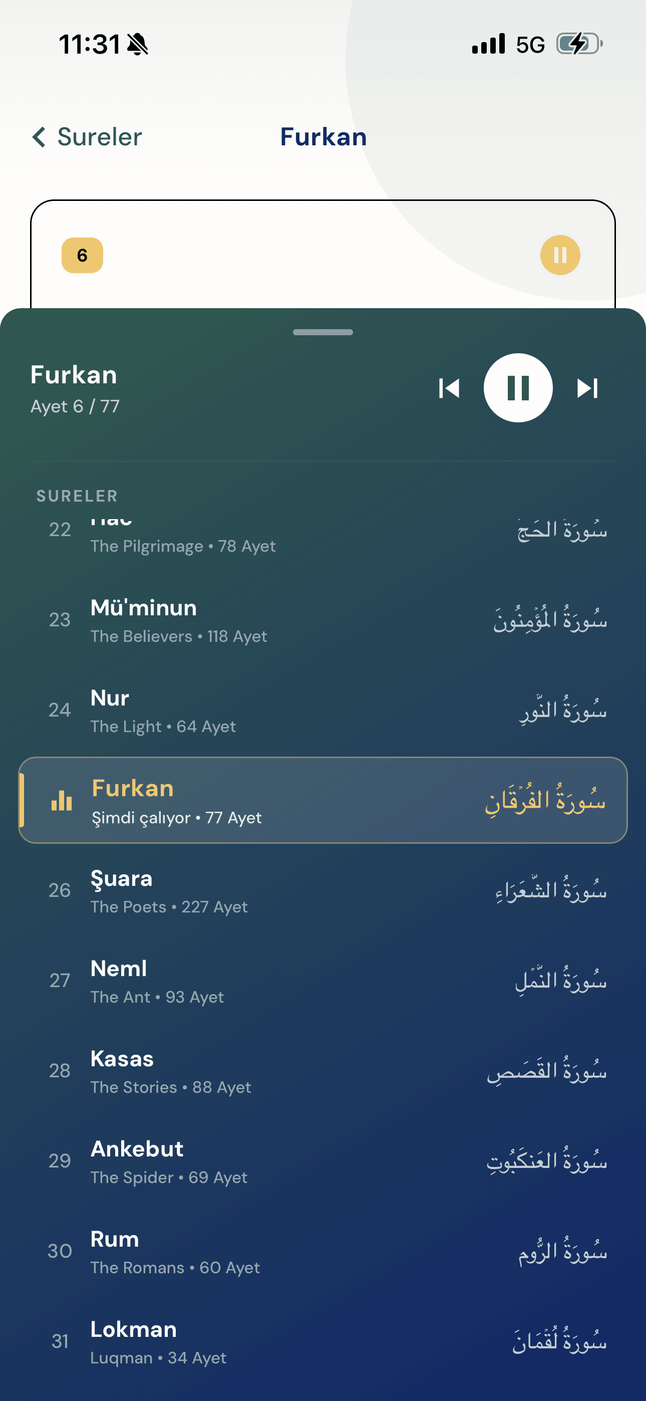 Inspraytion Kur’an dinleme ve sure listesi ekranı